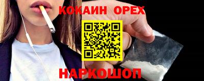 крисы Камышлов