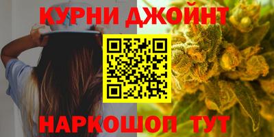 крисы Камышлов
