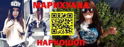 крисы Камышлов