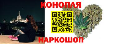 крисы Камышлов