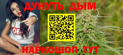 крисы Камышлов