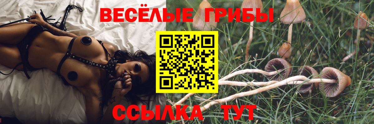 Глазов  Галлюциногенные грибы прущие грибы  Вход с VPN  Псилоцибиновые грибы ЛСД 